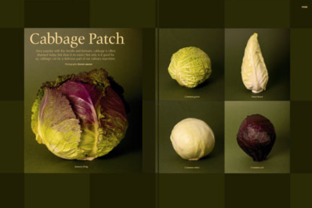 Cabbage Patch