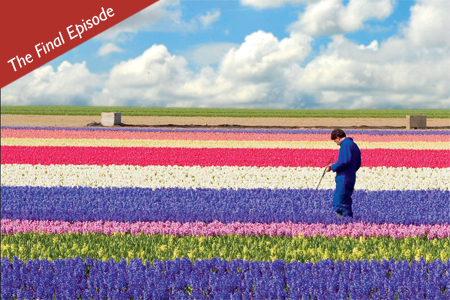 The Winter Flowers - The Good Life Express The Winter Flowers - The Good Life Express