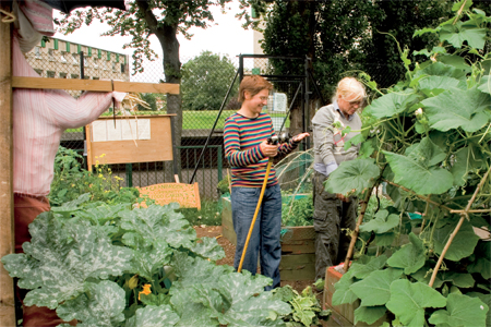 Turnips Triumph in Tower Hamlets - Good Life Express, Episode 20