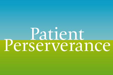 Patient Perseverance