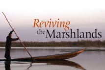 Reviving the Marshlands